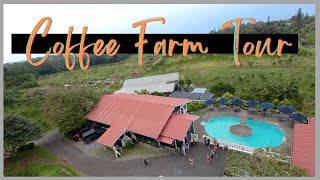 Kona Coffee Farm Tour Big Island  Heavenly Hawaiian [upl. by Kathlene]