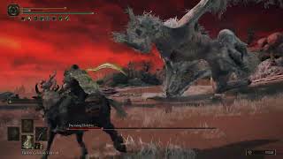 Elden Ring Decaying Ekzykes  The Dragon of Rot Boss Fight  2023 [upl. by Gamaliel650]