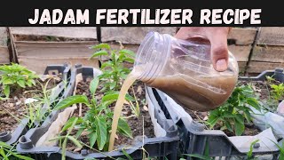 Jadam Natural Liquid Fertilizer A recipe that can make your garden an oasis in days [upl. by Yellah]