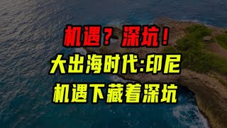 機遇之下藏著深坑！印度尼西亞市場比你想象中更擁擠【沈帥波】 [upl. by Reggie552]