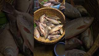 Fresh fish cholonbil authentic viralvideo [upl. by Ymaj545]