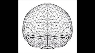 The evolution of modern human brain shape [upl. by Bruning]