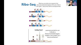 Ribosome footprinting aka profiling aka Riboseq amp polysome profiling  an overview amp comparison [upl. by Oliver]