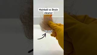 A Hairball vs Drain Cleaner 🧪 [upl. by Aronas136]