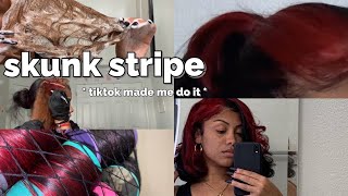 doing a skunk stripe at home using box dye  sorry tae   tiktok made me do it [upl. by Harrison]