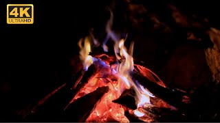 🔥 Cozy Fireplace 4K UHD Fireplace with Crackling Fire Sounds Christmas Fireplace Ambience 2024 [upl. by Danczyk]