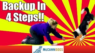 Teach Your Dog How To Walk Backwards And Even Up A Wall [upl. by Mori]