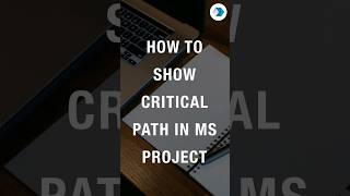 How to Show Critical path in MS Project [upl. by Simmie]