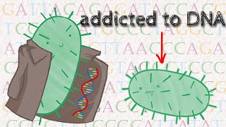 Can Bacteria Experience Addiction [upl. by Arayk180]