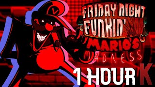 Paranoia  Friday Night Funkin FULL SONG 1 HOUR [upl. by Kristien117]