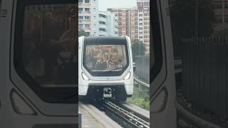 SMRT ALS C801B 135138  Pulling Into BP1 Choa Chu Kang [upl. by Gable181]