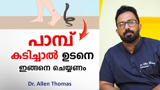 പാമ്പ് കടിച്ചാൽ ഉടനെ ഇങ്ങനെ ചെയ്യണം  snake bite first aid  Dr Allen Thomas [upl. by Hoang]