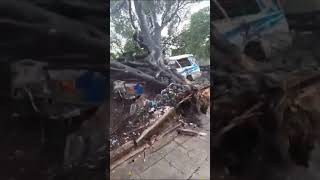 Reportan un árbol caído sobre una coaster en el punto de microbuses de la R21 [upl. by Ahsien214]