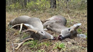 Muzzle Loader Hunt  White Rock WMA  Arkansas Public Land Hunting  Ozark Mountains [upl. by Killoran]