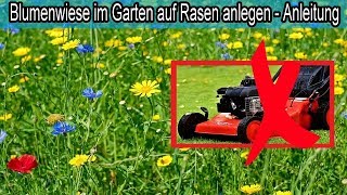 Natürliche Blumenwiese im Garten auf Rasen anlegen amp nur noch 2mal im Jahr Rasenmähen [upl. by Catriona884]