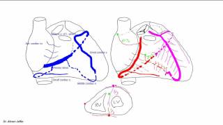 Blood supply of the heart [upl. by Seko]