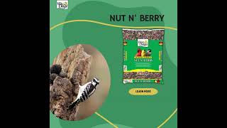 Wild Delight Nut N Berry [upl. by Penman]