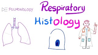 B23  Cell Specialization  IB Biology HL [upl. by Enilreug]