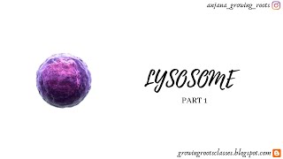 LYSOSOME  Malayalam  Structure And Types Of Lysosomes  Degree  NEET Biology [upl. by Subir]