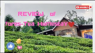 Darjeeling Offbeat Destination  Rungli Rungliot Tea Garden offbeatnorthbengal travel darjeeling [upl. by Ailic495]