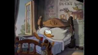 Donald Duck Cartoons Full Episodes [upl. by Outhe714]