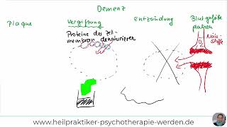 Heilpraktiker Psychotherapie Erklärvideo Demenz [upl. by Assilim]