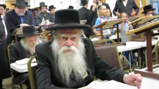 Bobov Satmer Chabad [upl. by Ydeh]