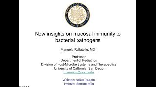 New insights on mucosal immunity to mucosal pathogens [upl. by Weisberg928]