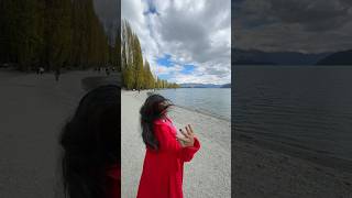 Wanaka Tree සහ මම Memories shortsvideo [upl. by Adnilreh358]