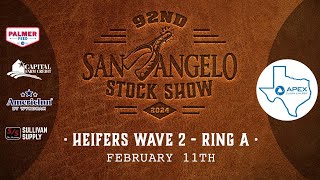 February 11  Heifers Wave 2 Ring A [upl. by Fasta]