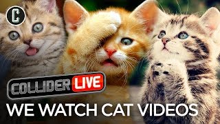 We Watch Cat Videos  Collider Live 63 [upl. by Daniela]