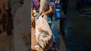 Amazing Tripletail Fish Cutting Skills In Bangladesh Fish Market shorts [upl. by Alesiram674]