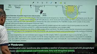 माइटोकॉन्ड्रिया और झिल्ली amp Mitochondria amp Membranes CSIR NET Lifescience by Harcharan Sir [upl. by Avi52]