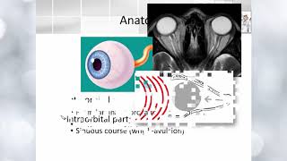 Optic nerve anatomy [upl. by Colpin]