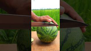 cool satisfying asmr yellow watermelon cutting shorts satisfying fruit [upl. by Allanson132]