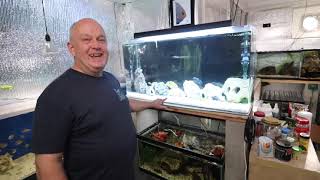 Master Fish Breeder Dean Picks His Favorite Aquarium [upl. by Albarran]