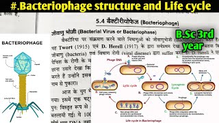 Bacteriophage structure and life cycle  Lytic and lysogenic life cycle of Bacteriophage [upl. by Ial]