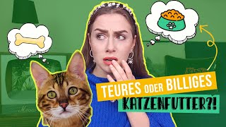 welches Katzenfutter ist gut für meine Katze  Katzentipps amp Fehler beim Futter  Amely Rose [upl. by Nauht]