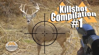 Killshot Compilation 1 [upl. by Maudie856]