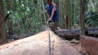 Timber and Livelihoods in Ecuador [upl. by Atinoj]