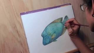 World Oceans Day  In Memory of the Deceased Humphead Wrasse [upl. by Hubert]