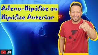 Hipotálamo Hipófise e Hormônios  Sistema NervosoEndócrino  Anatomia Humana  Vídeo Aula 156 [upl. by Zahara]