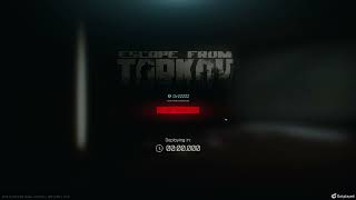 Tarkov  It just works [upl. by Alair434]