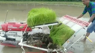 Paddy Transplanter Machine [upl. by Ellehciram]