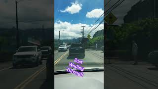 Driving through Haleiwa youtube youtuber travel automobile fb driving rider usa usareels [upl. by Elwyn239]