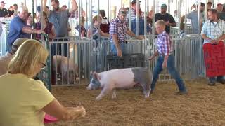 Lawrence Co Fair Ohio  4H amp FFA Market Hog Show [upl. by Eniamreg373]