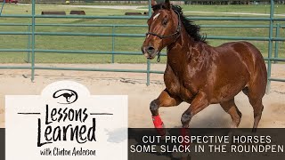 Lessons Learned Cut Prospective Horses Some Slack If They Havent Been Roundpenned Before [upl. by Ahsratan537]