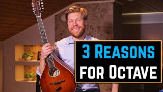 3 Reasons Why I Think You Should Play the Octave Mandolin [upl. by Aitnauq202]