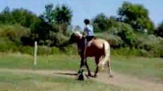 Me Horseback riding  jumping [upl. by Aidam529]