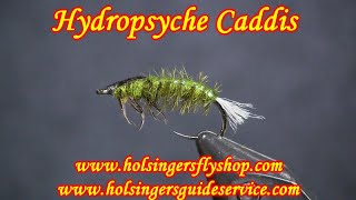 Hydropsyche Caddis Holsingers Fly Shop [upl. by Anelav723]